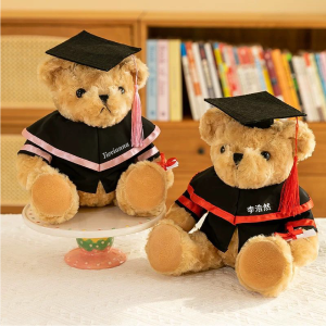 Alternative view of Personalised Graduation Bear