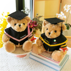 Personalised Graduation Bear